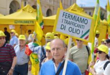crisi mercato olio oliva