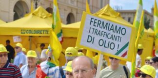 crisi mercato olio oliva