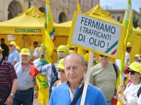 crisi mercato olio oliva