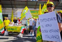 tracciabilità olio extravergine
