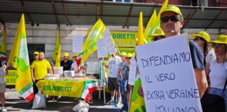 Olio evo sotto pressione: controlli più efficaci, ma la trasparenza resta la vera sfida tracciabilità olio extravergine