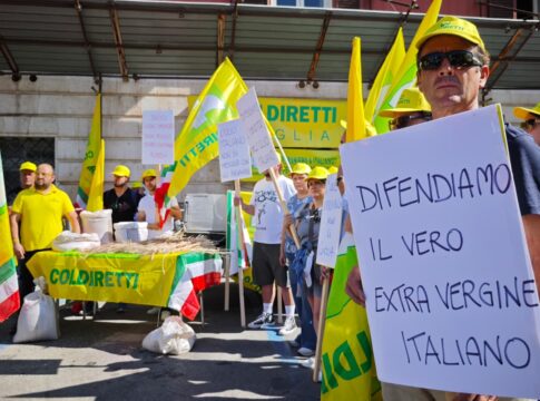 tracciabilità olio extravergine