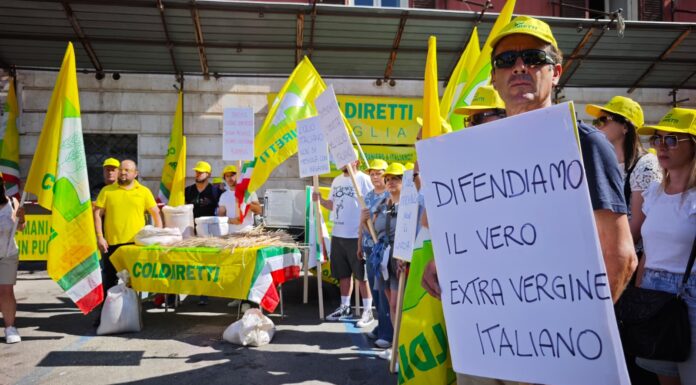Olio evo sotto pressione: controlli più efficaci, ma la trasparenza resta la vera sfida tracciabilità olio extravergine