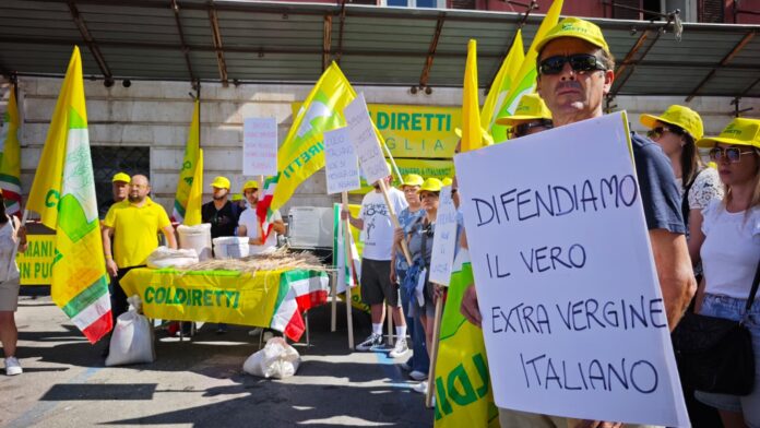 tracciabilità olio extravergine