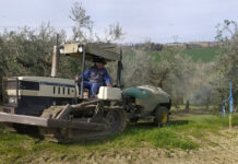 Microfighter, meno rame contro la rogna microfighter rogna olivo
