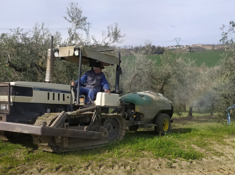 Microfighter, meno rame contro la rogna microfighter rogna olivo