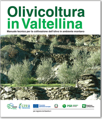 olivicoltura valtellina manuale