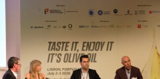 intelligenza artificiale olivo olio