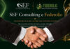 Federolio e SEF Consulting, intesa per l’olio italiano Federolio
