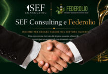 Federolio