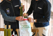 Frodi nel settore oleario, cambia il paradigma dei controlli frodi olio extra vergine