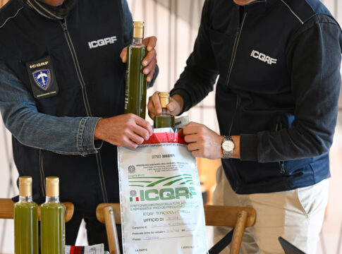 Frodi nel settore oleario, cambia il paradigma dei controlli frodi olio extra vergine