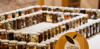 Olive da tavola e olio evo sotto la lente dei consumatori in Puglia olive da tavola