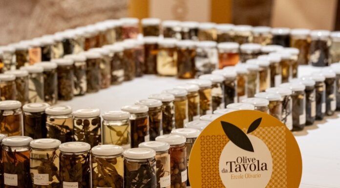 olive da tavola