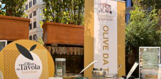 ercole olivario olive da tavola 2026