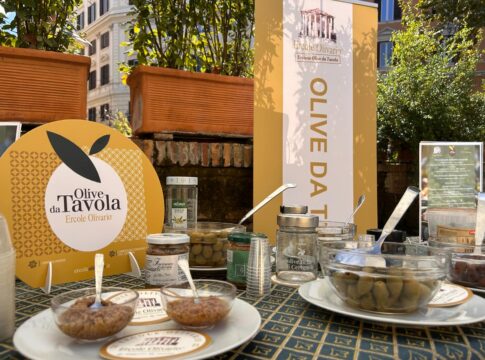 ercole olivario olive da tavola 2026