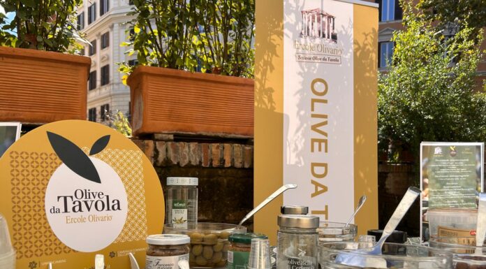 ercole olivario olive da tavola 2026