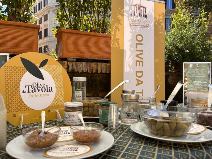 ercole olivario olive da tavola 2026