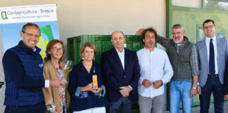 campagna olearia 2026 Garda