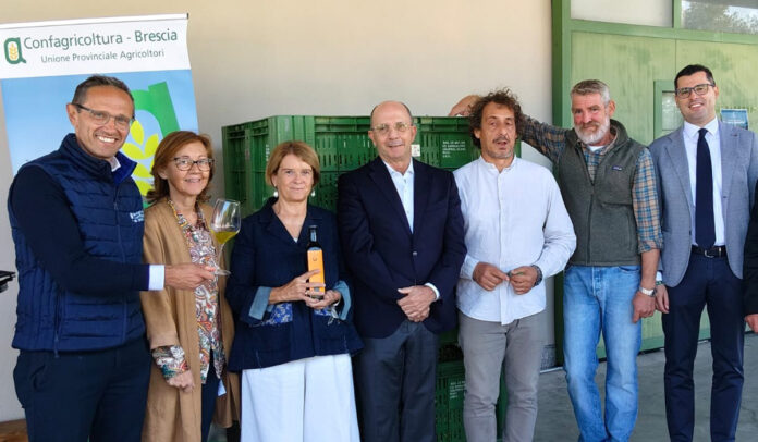 campagna olearia 2026 Garda