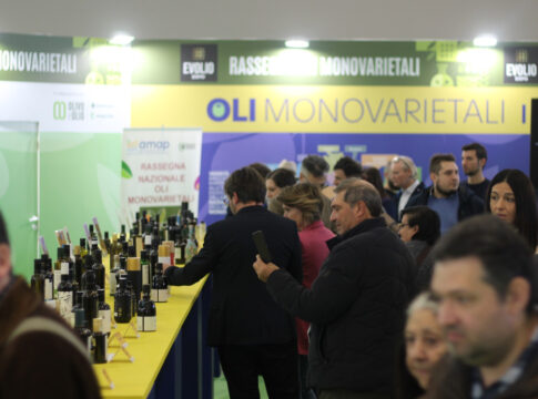 Evolio Expo 2027