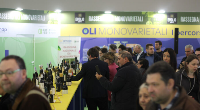 Evolio Expo 2027