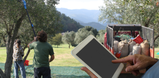 tracciabilità olio dao