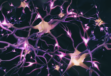 Terapia dei neuroni a specchio e del movimento indotto da costrizione in pazienti post ictus