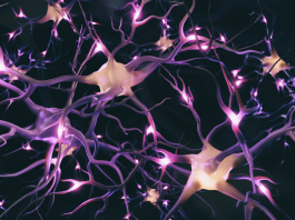 Terapia dei neuroni a specchio e del movimento indotto da costrizione in pazienti post ictus