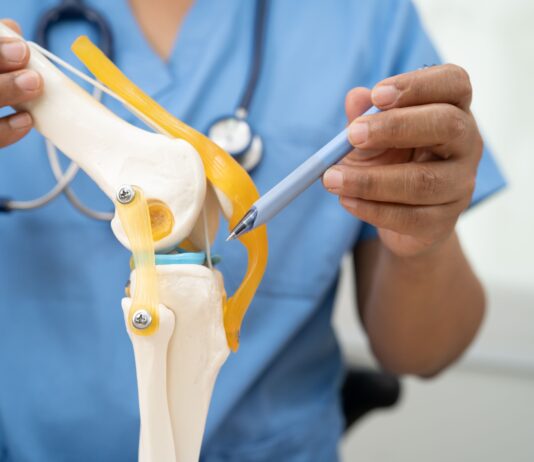 Cartilagine, scaffold vegetali dalle mele per la rigenerazione tissutale Cartilagine, scaffold vegetali dalle mele per la rigenerazione tissutale