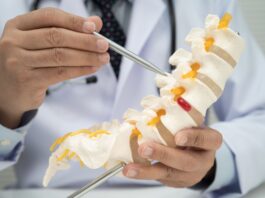 Fratture vertebrali da trauma: diagnosi, cure e riabilitazione Fratture vertebrali da trauma: diagnosi, cure e riabilitazione