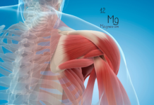 Magnesio malato, muscoli ed energia