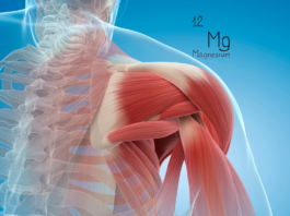 Magnesio malato, muscoli ed energia Magnesio malato, muscoli ed energia