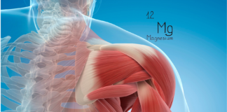 Magnesio malato, muscoli ed energia