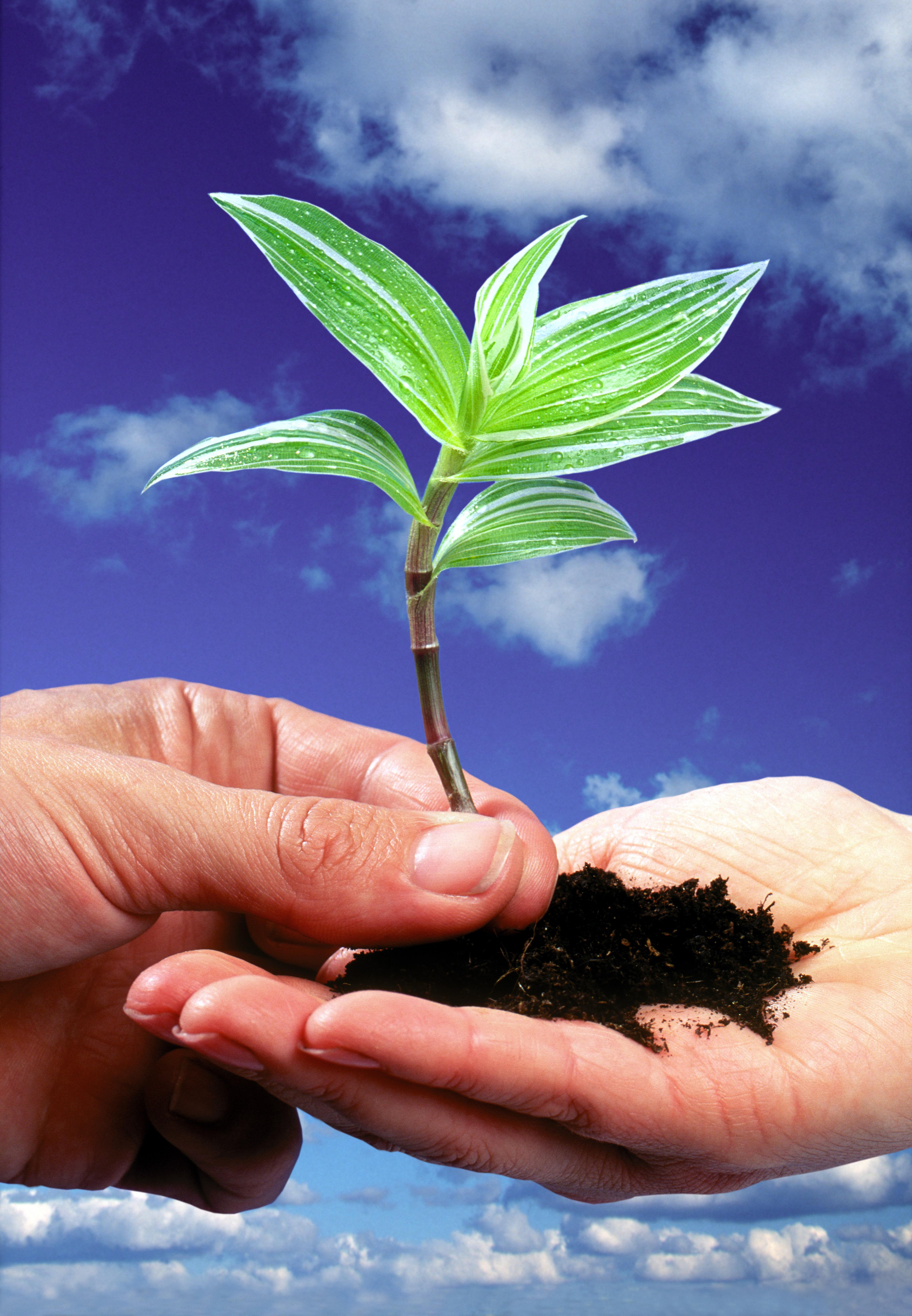 Two Sides launches European fact sheets to combat environmental misconceptions of print and paper use Two Sides launches European fact sheets to combat environmental misconceptions of print and paper use.