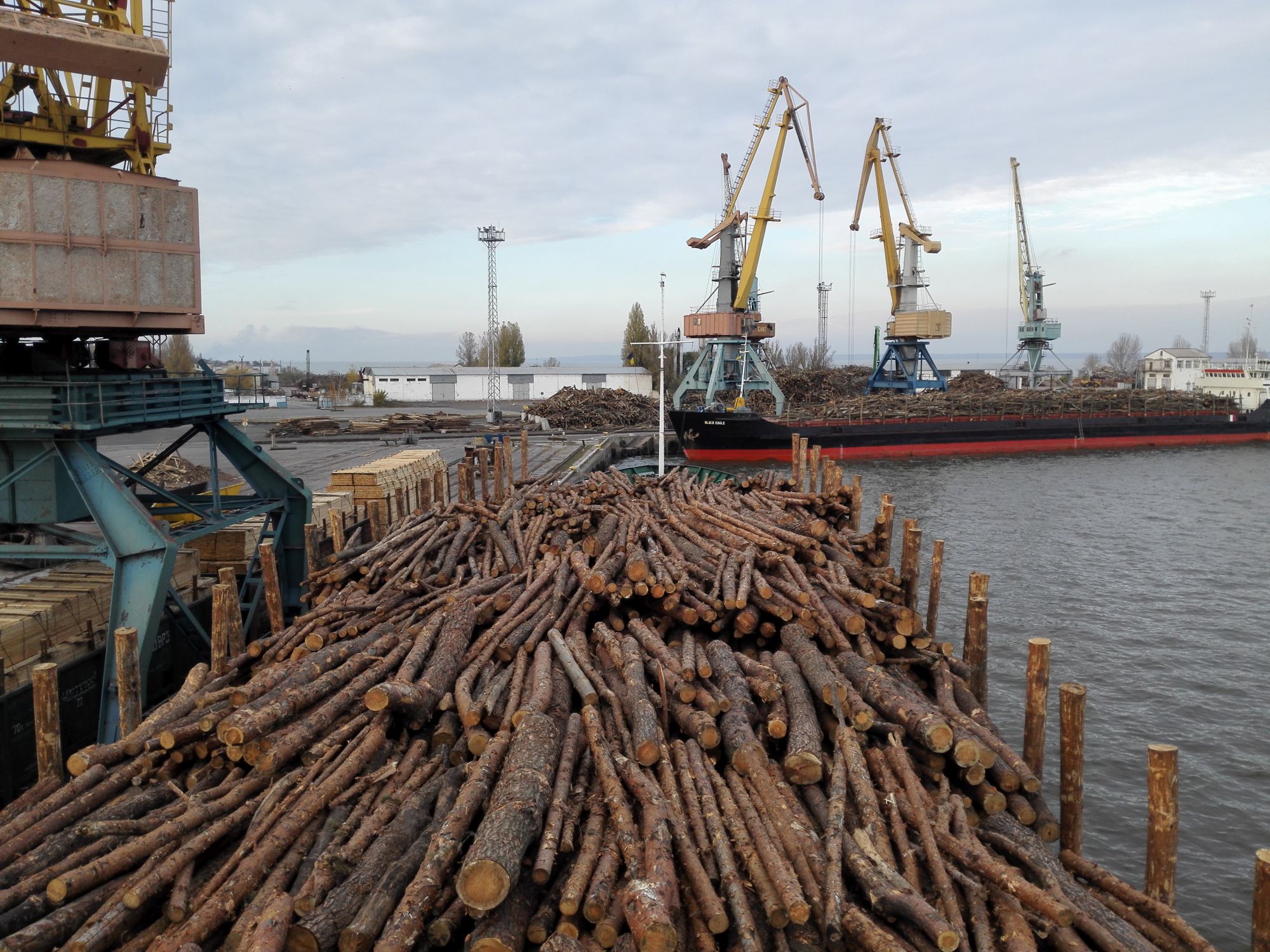 Krostar markets about 800,000 tons of wood chips and trunks every year.
