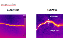 A new spotlight on fibers