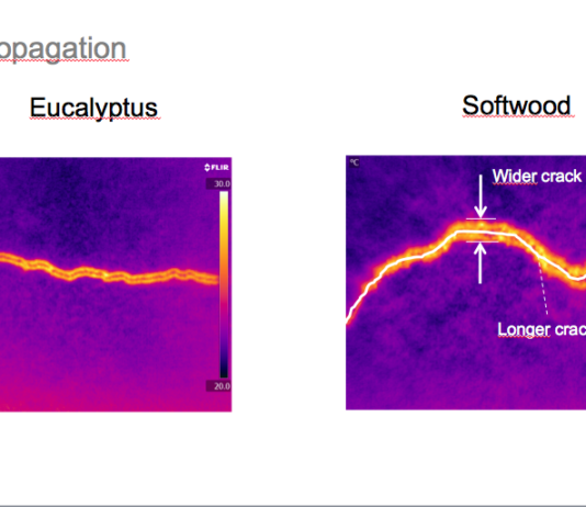 A new spotlight on fibers
