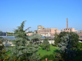 Cartiera di Ferrara selected Toscotec for a complete dryer section rebuild of its coreboard machine at Ferrara mill in Italy