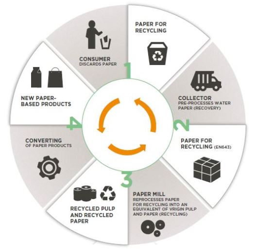 fig01_ciclo-vita_carta