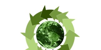 Focus on: biorefineries