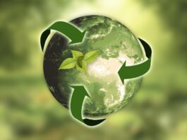 Paper and biomethane, an alliance for sustainability