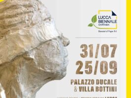 Lucca Biennale Cartasia
