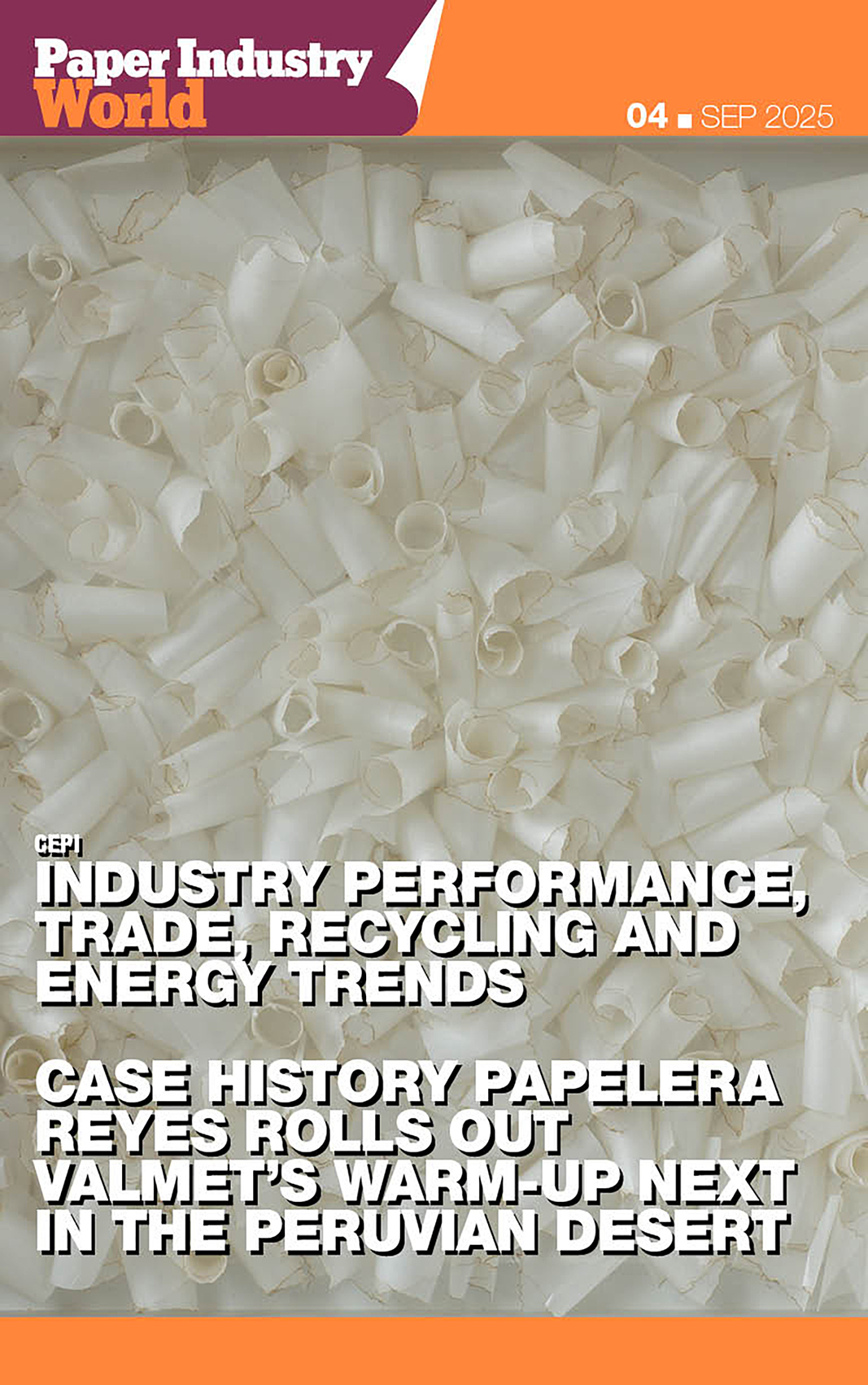 Paper Industry World