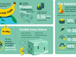 Lighter, more sustainable banana box