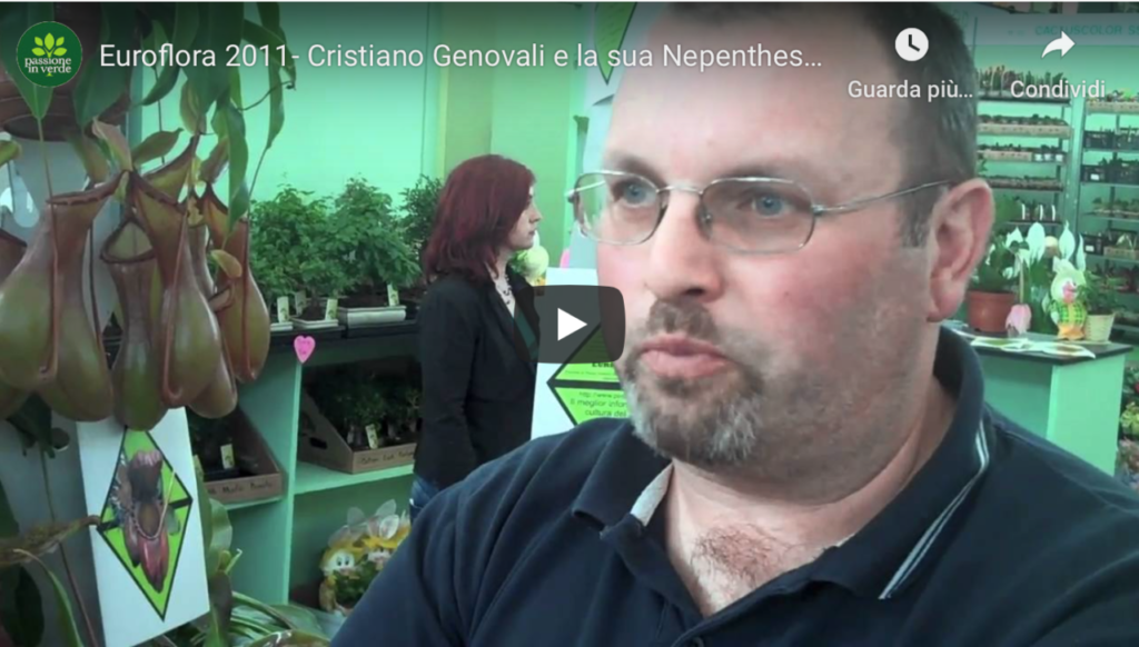 cristiano genovali