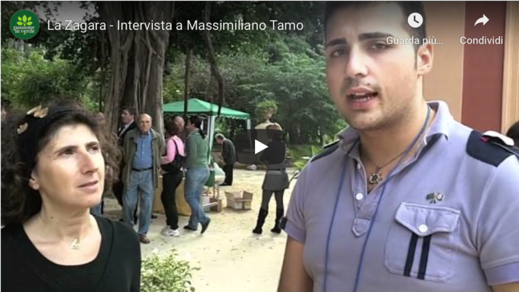 massimiliano tamo