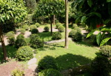 creare progetto giardino