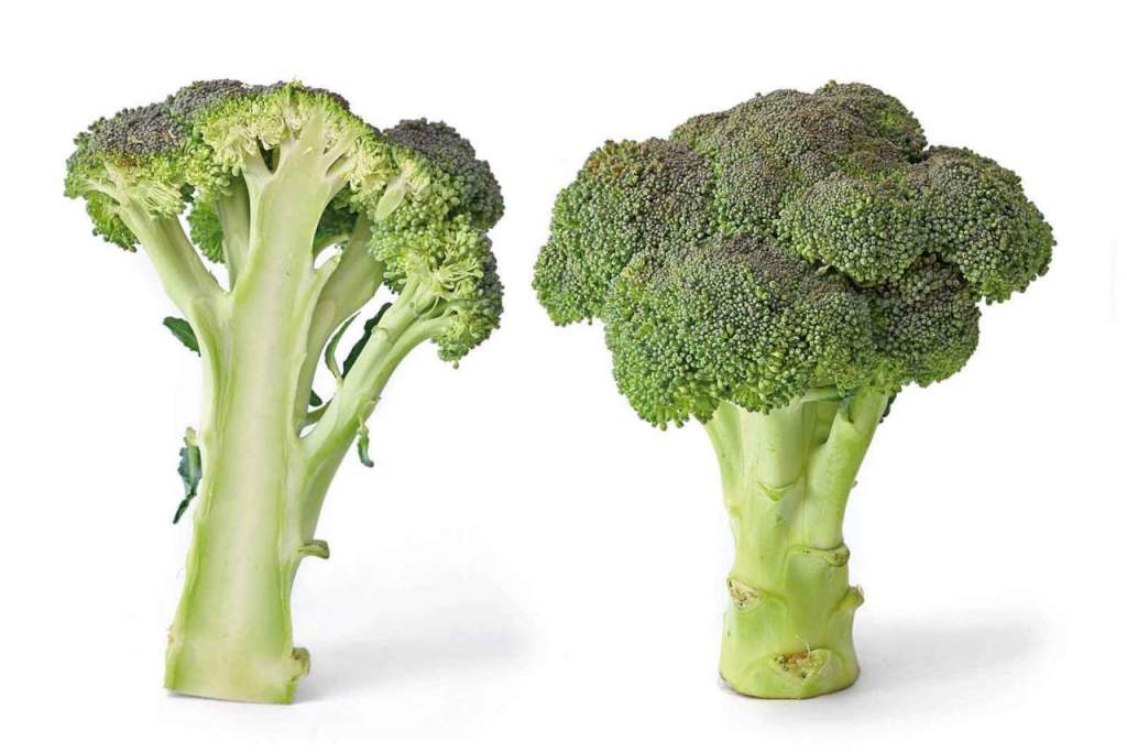 broccoli