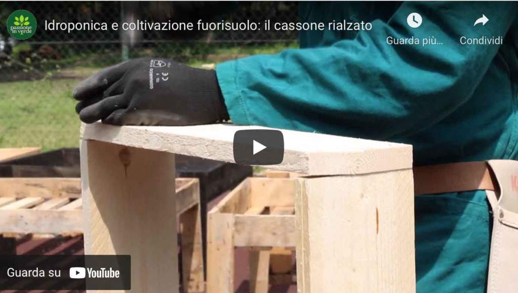 video_idroponica_costruire_cassone